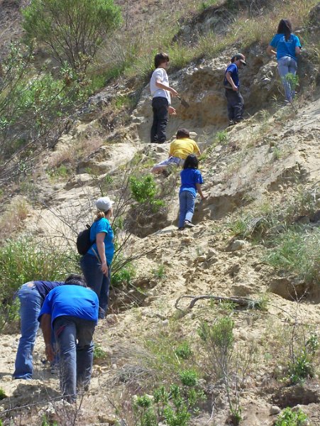 9. They're up here too!.JPG